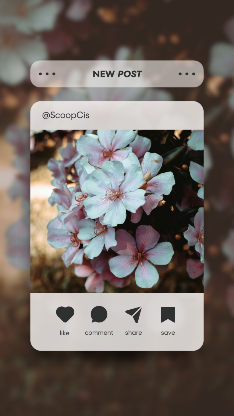 Template design ScoopCis